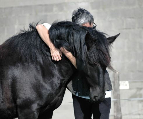 terapia para enfermedad con caballo